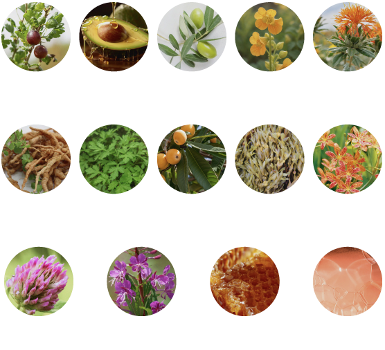 ホホバ種子油、アボカド油、オリーブ果実油、月見草油、サフラワー油、アカヤジオウ根エキス、ヨモギ葉エキス、ビワ葉エキス、ヒバマタエキス、ヒオウギエキス、アカツメクサ花エキス、ヤナギラン花／葉／茎エキス、ローヤルゼリー酸※2、コラーゲン（全て保湿成分）