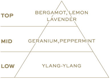 TOP：BERGAMOT, LEMON, LAVENDER／MID：GERANIUM, PEPPERMINT／LOW：YLANG-YLANG